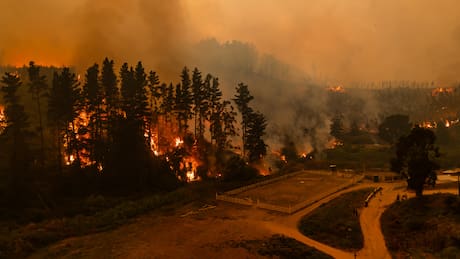 Incendios en Penco y Lirquén: Víctimas fatales confirmadas, zonas afectadas y toques de queda para HOY 19 de enero