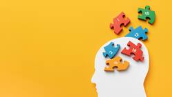 10 alimentos que ayudan a la memoria y concentración según la Universidad Tecnológica Metropolitana