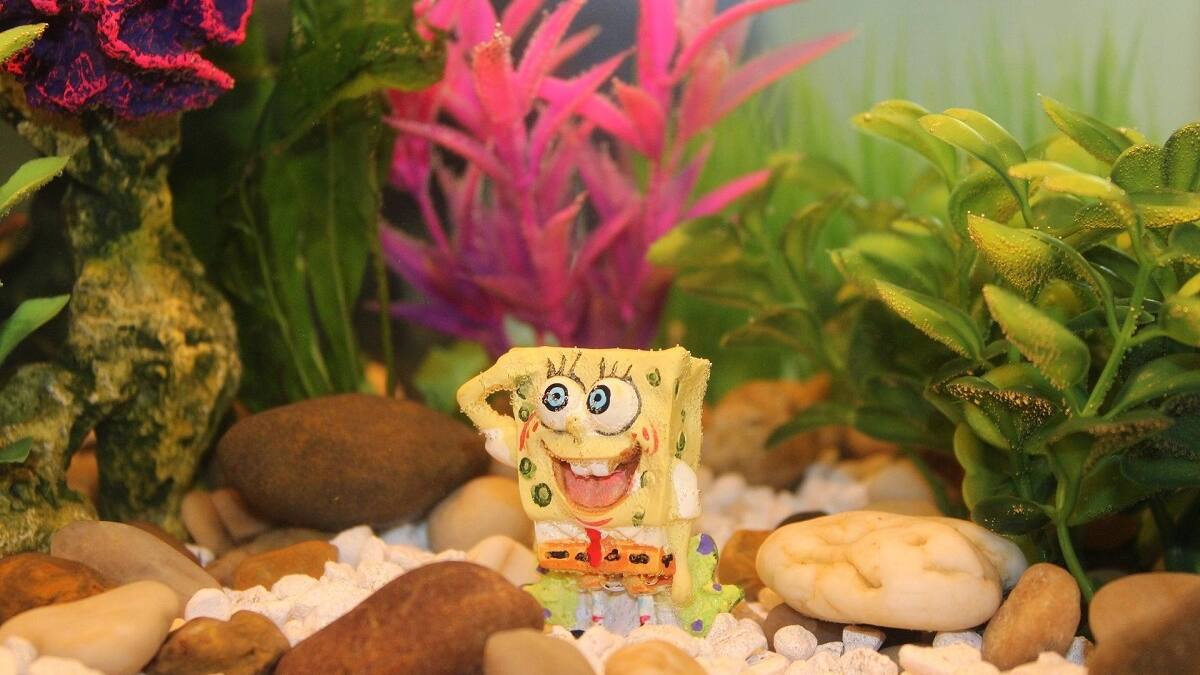 VIDEO | ¿Es Bob Esponja?: Mujer arma increíble acuario temático para sus peces