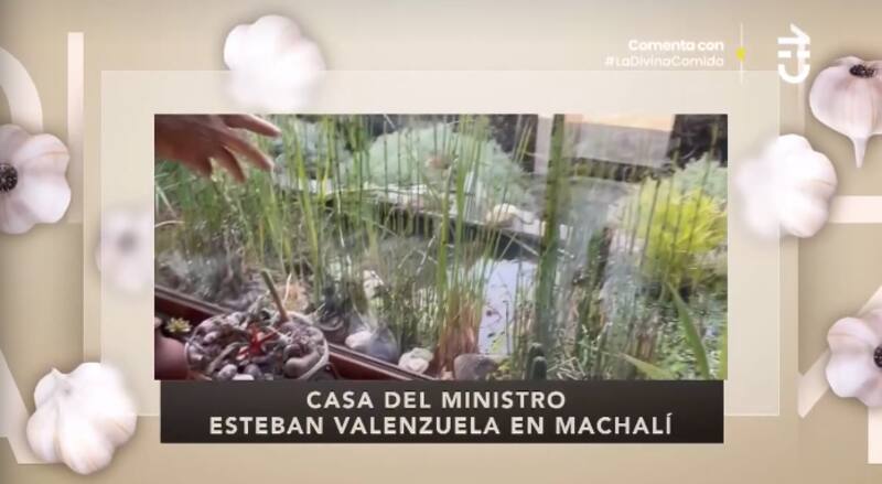 El humedal. Foto: CHV.