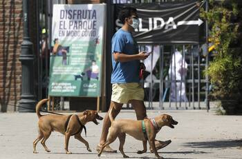 Bono Clase Media: chequea quiénes podrán acceder al bono de hasta $600 mil