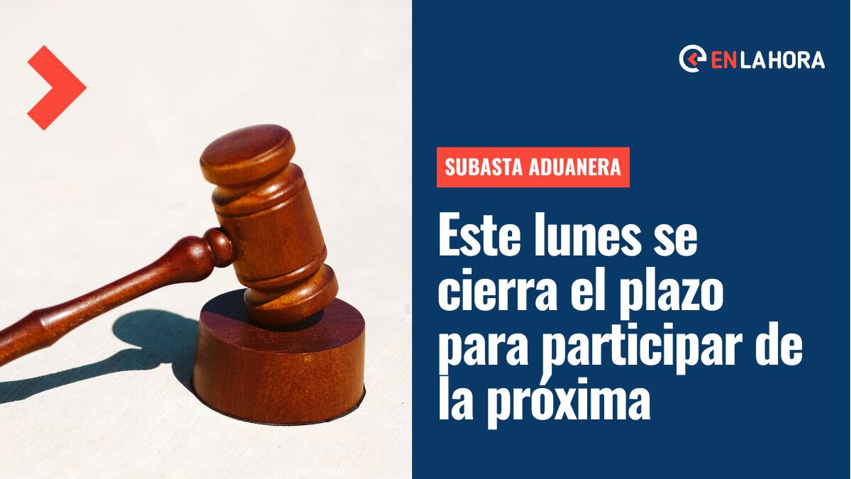 Subasta Aduanera online se realiza en solo días: ¿Cómo participar y qué productos se subastarán?