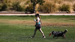 Cielos despejados y chubascos en el sur: Conoce el pronóstico para Santiago y el resto del país para este jueves