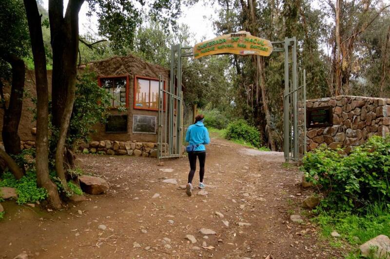 Los puedes visitar en primavera, con gratuitos y perfectos para compartir en familia.
Créditos: Municipalidad de Peñalolén.