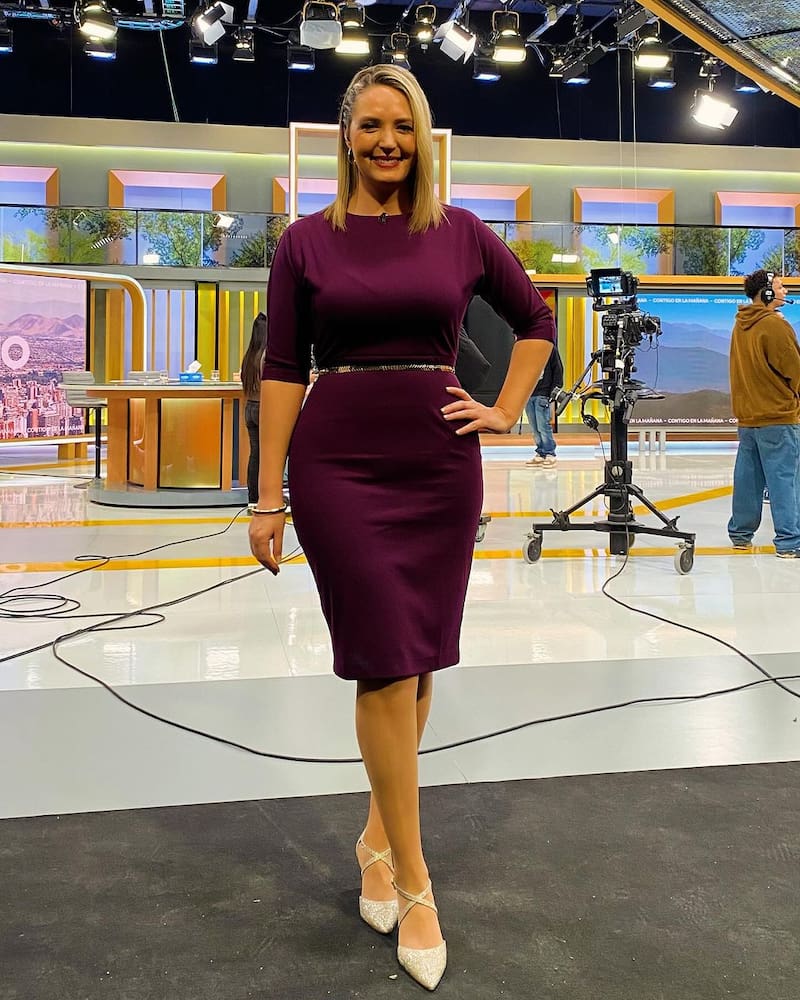 Allison Göhler viste un espectacular vestido en tonos morados.