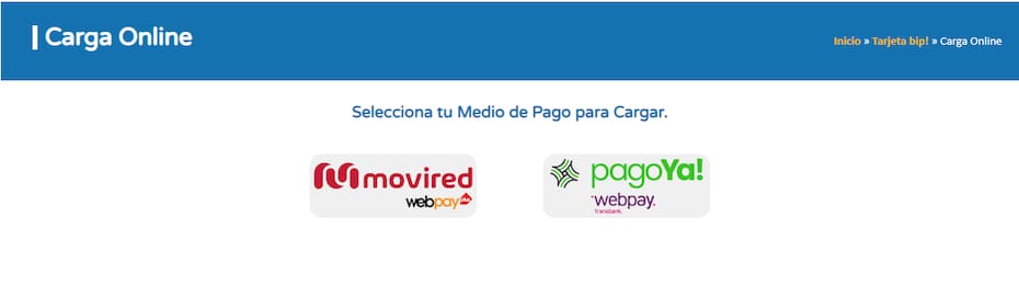 Así luce la página web para cargar tu tarjeta.