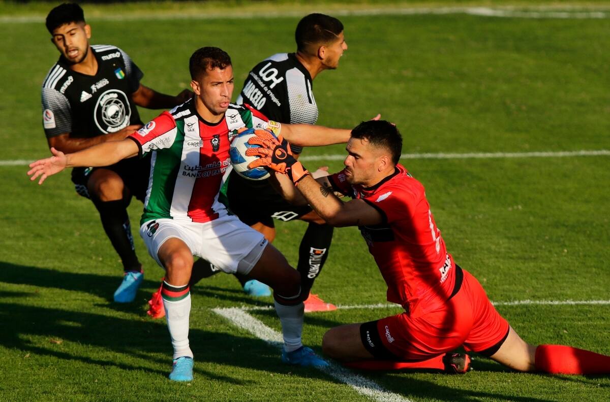 En Palestino se agrandaron tras último triunfo: "Pensé que la UC, la U y Colo Colo eran más protagonistas"