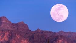 Así podrás ver la Luna de Fresa en Chile: será la más alta hasta 2043