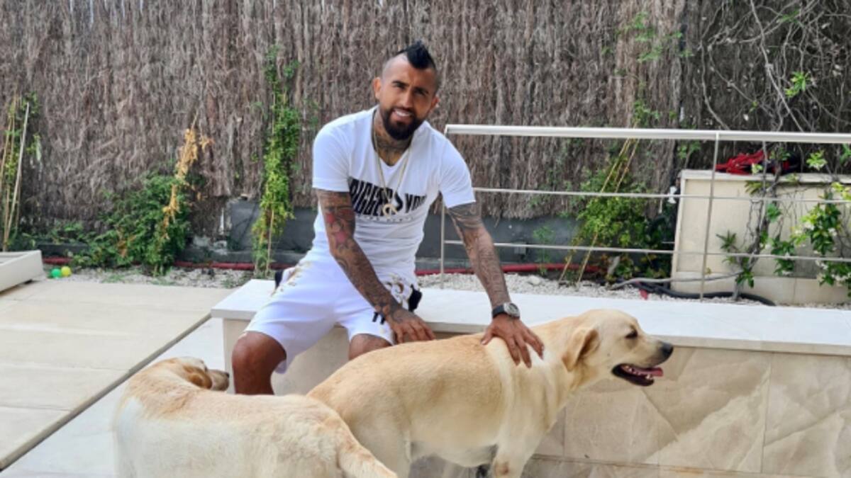 Vidal presentó a las mascotas de sus hijos: "Máquinas"