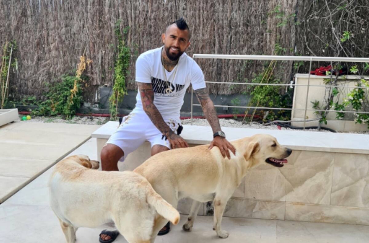 Vidal presentó a las mascotas de sus hijos: "Máquinas"