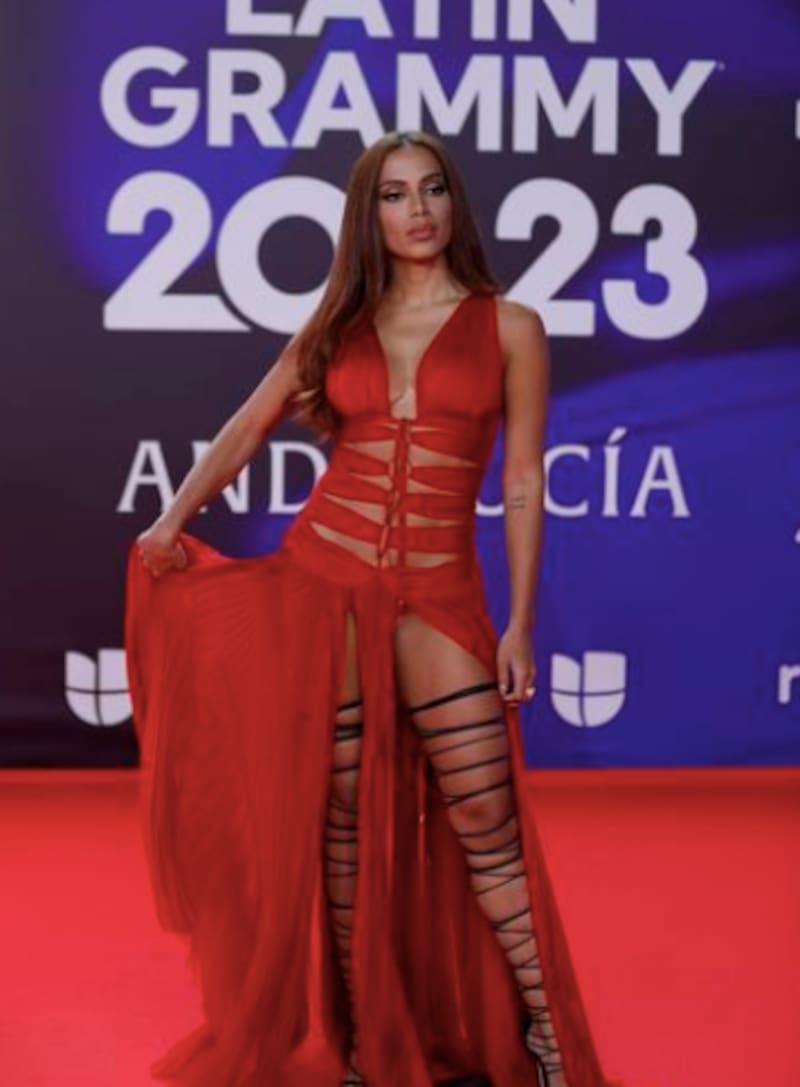 se presentará en el Festival de Viña 2024.