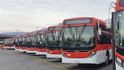 Red Movilidad anunció modificaciones en uno de sus recorridos: Esta es la comuna que será beneficiada