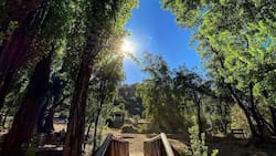 Santuario de la Naturaleza: el clásico panorama ideal para alejarse del ruido y el estrés sin salir de la RM