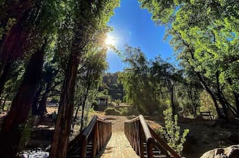 Santuario de la Naturaleza: el clásico panorama ideal para alejarse del ruido y el estrés sin salir de la RM