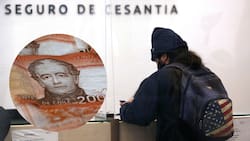 ¿Quedaste sin trabajo?: Estos son los cinco bonos que puedes recibir si estás cesante