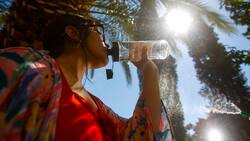 Alerta por altas temperaturas emitida por la Dirección Meteorológica de Chile: estas serán las regiones afectadas