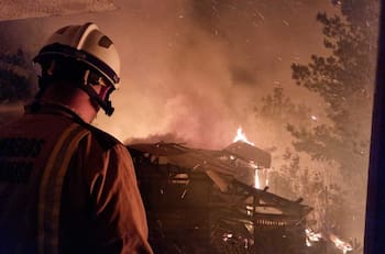 Alerta Roja por Incendio forestal en Valparaíso: Hay al menos 80 casas afectadas