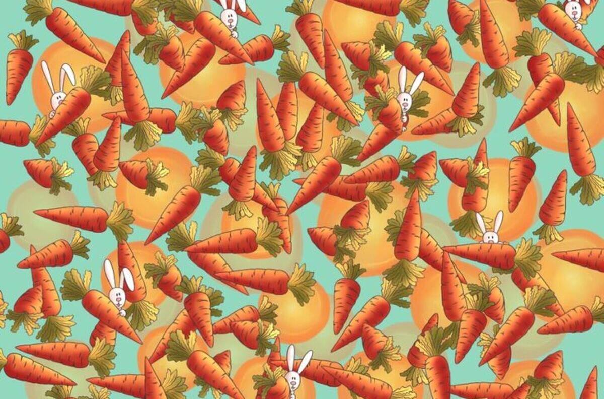 Acertijo Visual: Encuentra el lápiz camuflado entre las zanahorias