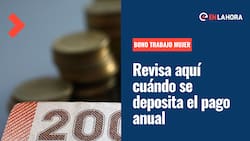 Bono al Trabajo de la Mujer: Conoce aquí cuándo se realiza el pago anual de $570 mil y cómo postular a este beneficio