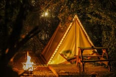 A menos de 45 minutos de Santiago: Estos glamping rodeados de árboles son perfectos para descansar