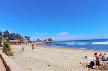 Esta playa está a solo 2 horas de Santiago y es perfecta para hacer surf y reposar con la brisa marina
