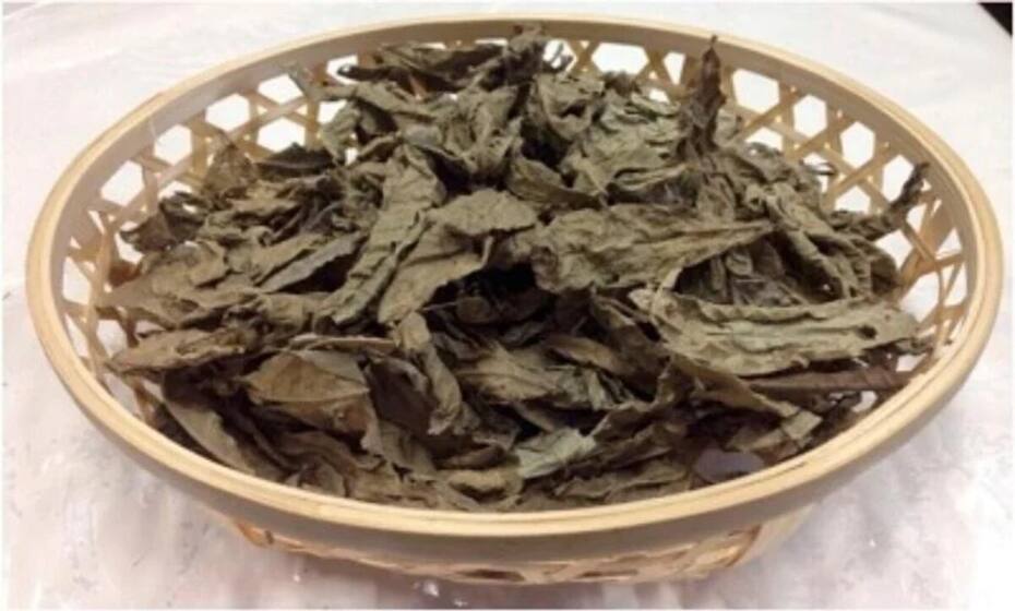 Esta planta china ya había sido estudiada por sus efectos contra el hígado graso.