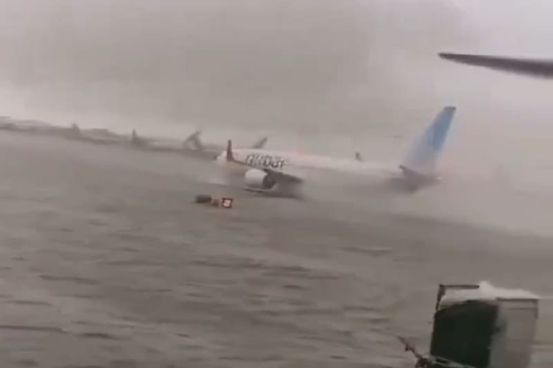 El impactante registro fue difundido a través de redes sociales.