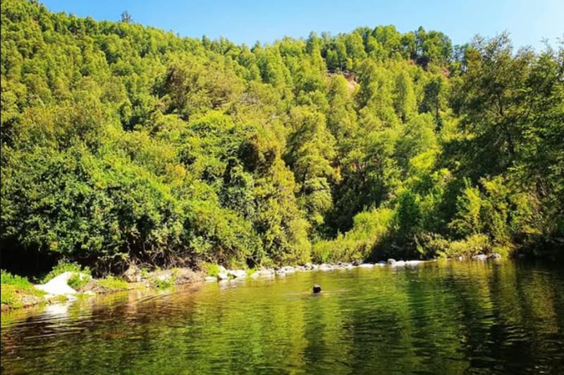 Está ubicado a menos de 5 horas de Santiago.
Créditos: IG @paraíso_campestral.