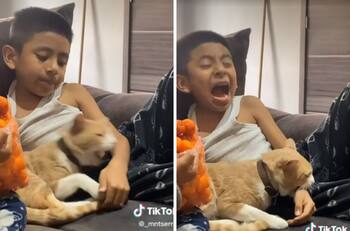 VIDEO| Tierno gatito muerde a niño y se hacen virales