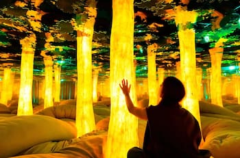 ¿Qúe hacer HOY en Santiago? Los panoramas más entretenidos para este viernes 20 de febrero