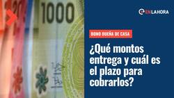 Bono Dueña de Casa: ¿Cuáles son los montos que entrega y cuál es el plazo para cobrarlo?