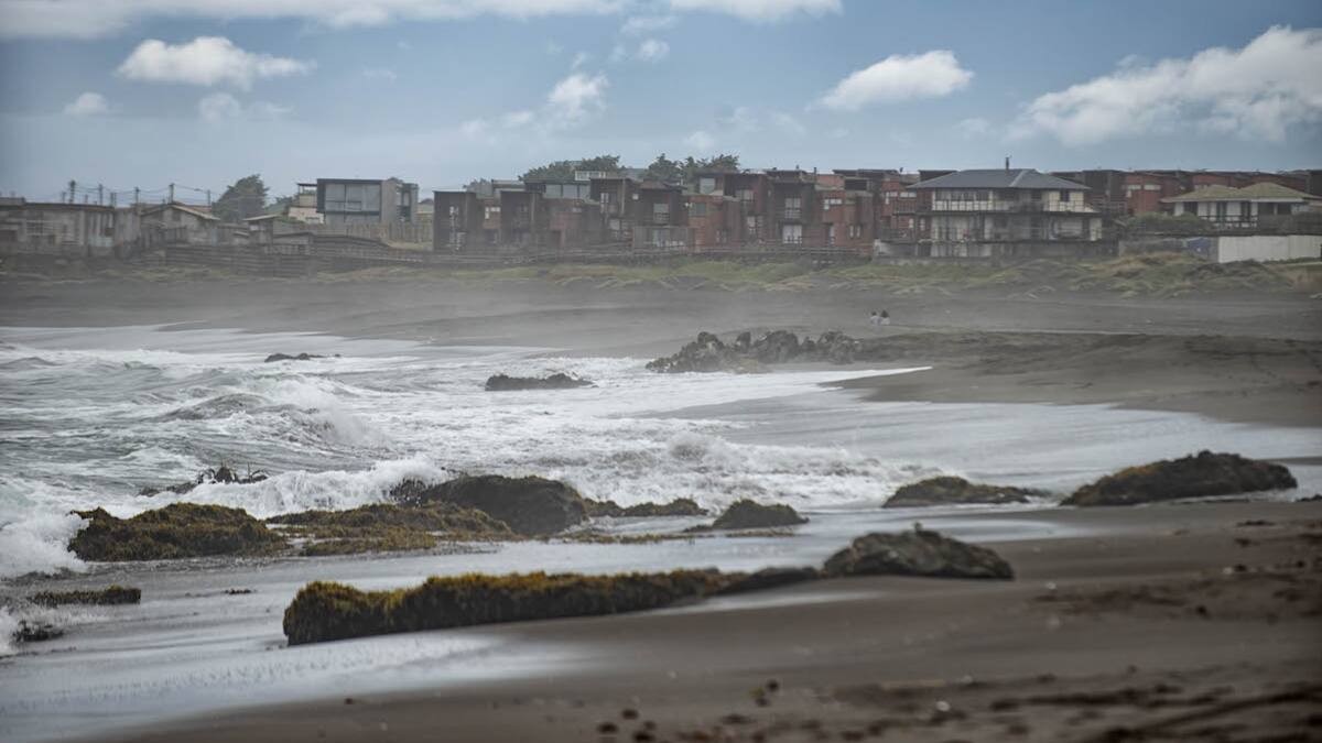 Enjambre sísmico: Más de 50 temblores se han registrado esta semana en Pichilemu y Navidad