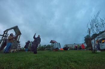 Eclipse de Sol 2020: La oscuridad hizo que hasta las ovejas se fueran a acostar