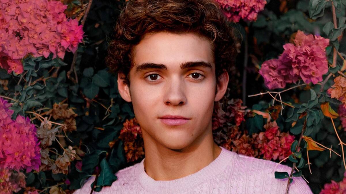 "Prefiero vivir mi verdad que con miedo": Joshua Bassett confirmó que es parte de la comunidad LGBTQIA +