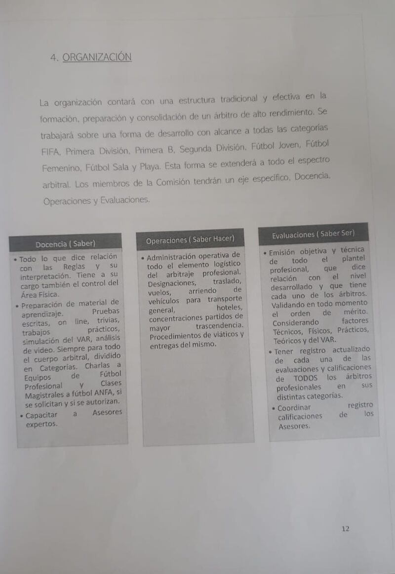 King Kong Leaks, Informe Javier Castrilli