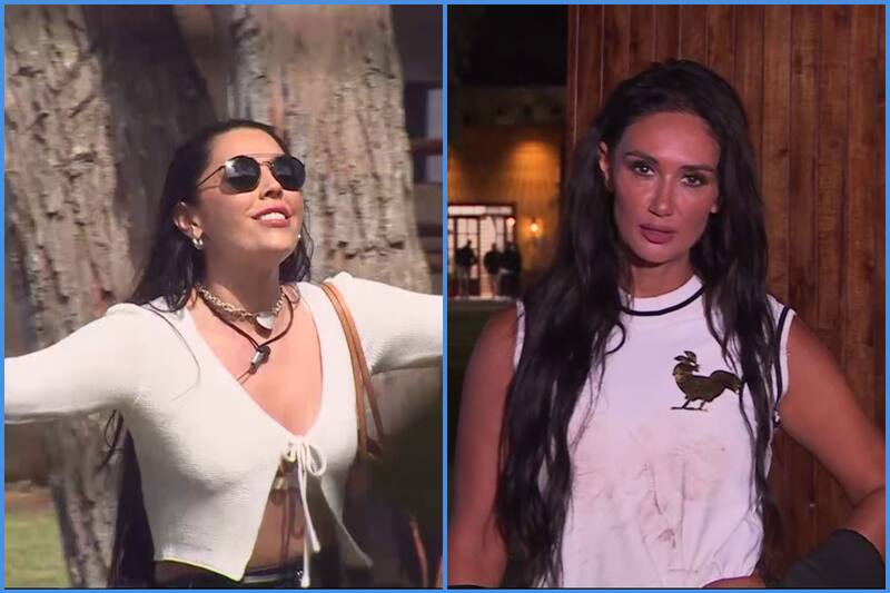 se llevan bien en la vida real.