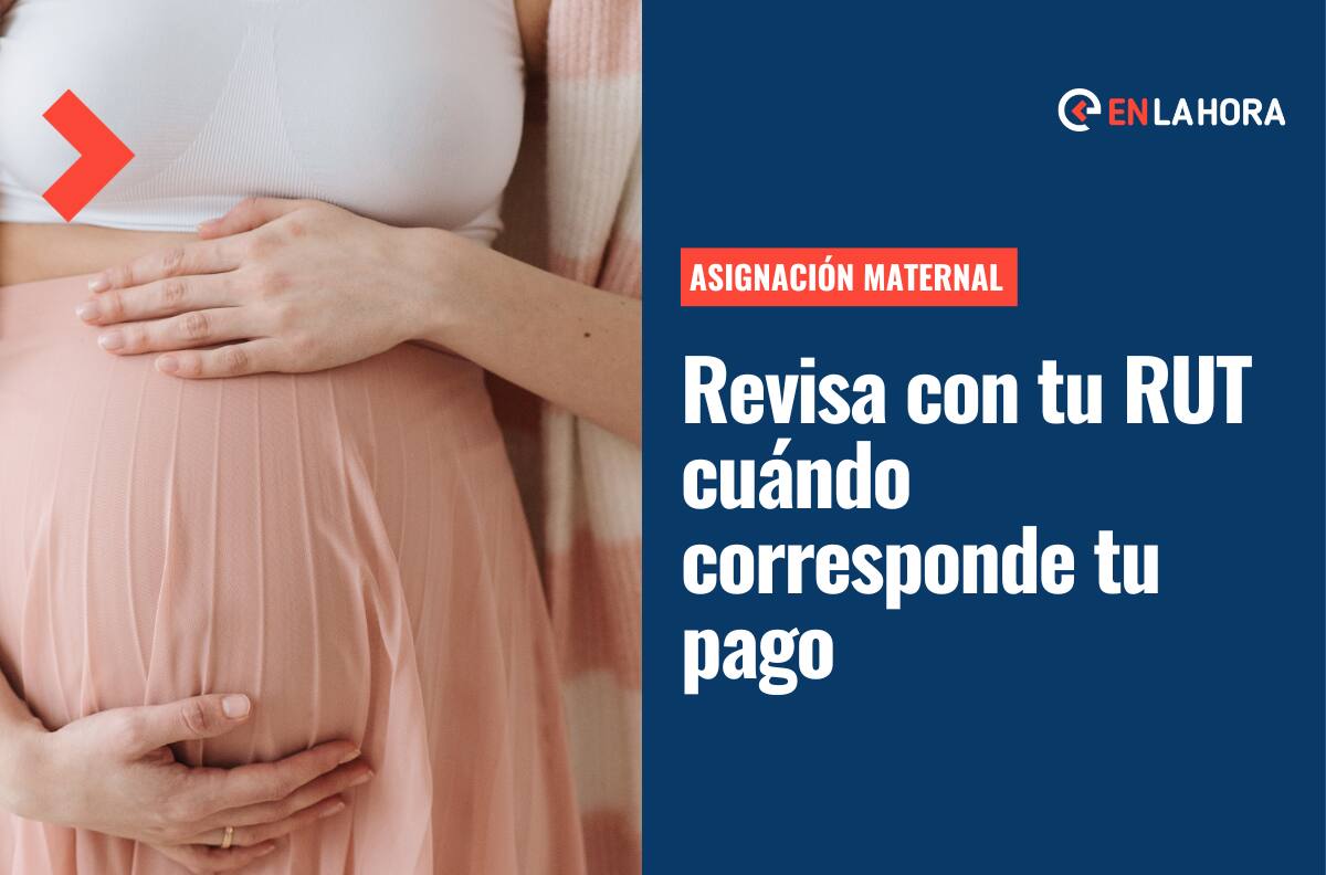 Bono Asignación Maternal: Revisa con tu RUT cuándo son tus pagos