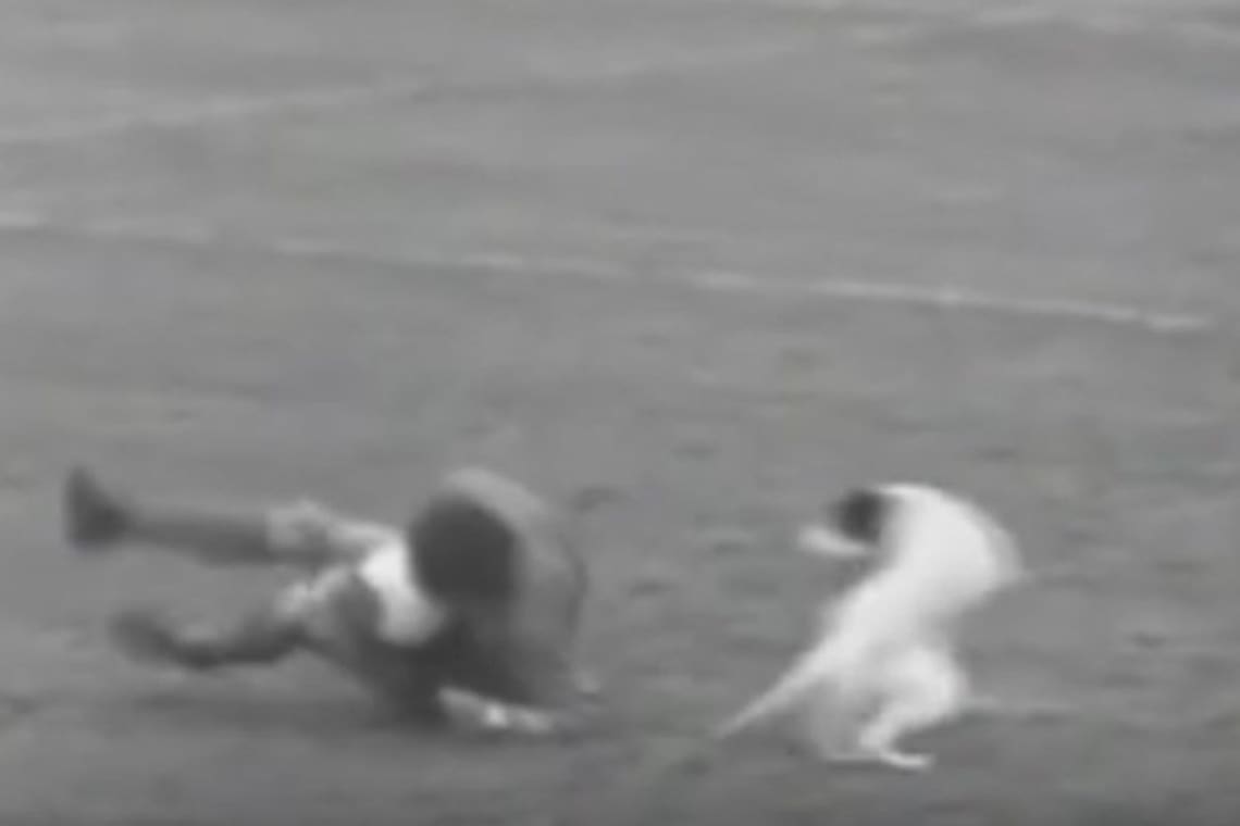 El futbolista que se retiró del fútbol tras ser lesionado por un perro en pleno partido.