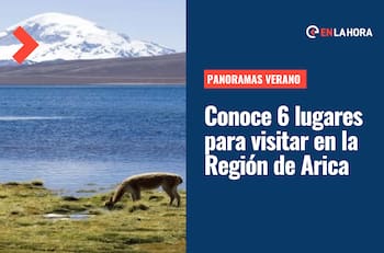 Verano 2023: Conoce 6 panoramas para disfrutar en la Región de Arica y Parinacota