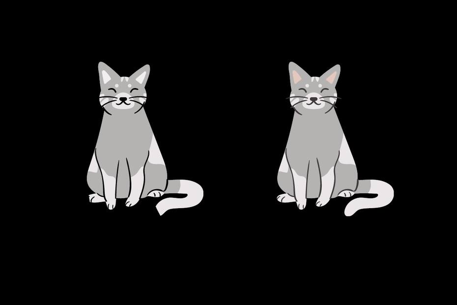 ¿Puedes encontrar las 6 diferencias?