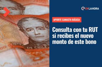 Bono Canasta Básica: Consulta con tu RUT y fecha de nacimiento si recibes el nuevo monto