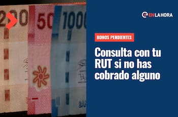Bonos Pendientes: Solo necesitas tu RUT para consultar si tienes dinero sin cobrar