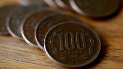 Podrías tener $12.000 pendientes: Conoce si no has cobrado el Bono Canasta Básica