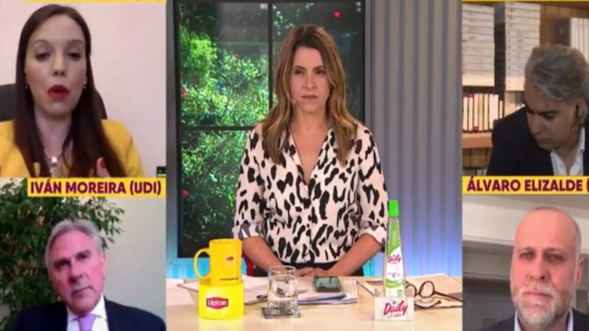 La confusión de Camila Flores: Aseguró que el Presidente puede remover a jueces y MEO la refutó