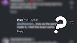 Conoce lo que significa que aparezca “null” en Instagram