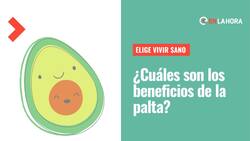 Elige Vivir Sano: ¿Cuáles son los beneficios de la palta y cómo conservarlas buenas por más tiempo?