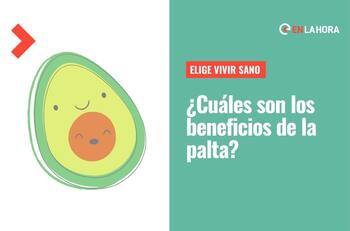 Elige Vivir Sano: ¿Cuáles son los beneficios de la palta y cómo conservarlas buenas por más tiempo?