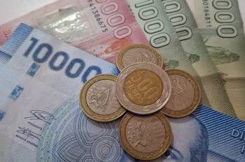 Solo con tu RUT conoce si recibes el bono de $22.000 mensuales que entrega el IPS a trabajadores jóvenes