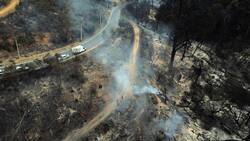 Alerta por rebrote de incendio forestal al interior del Jardín Botánico de Viña del Mar
