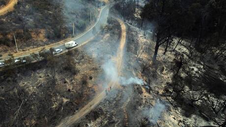 Alerta por rebrote de incendio forestal al interior del Jardín Botánico de Viña del Mar